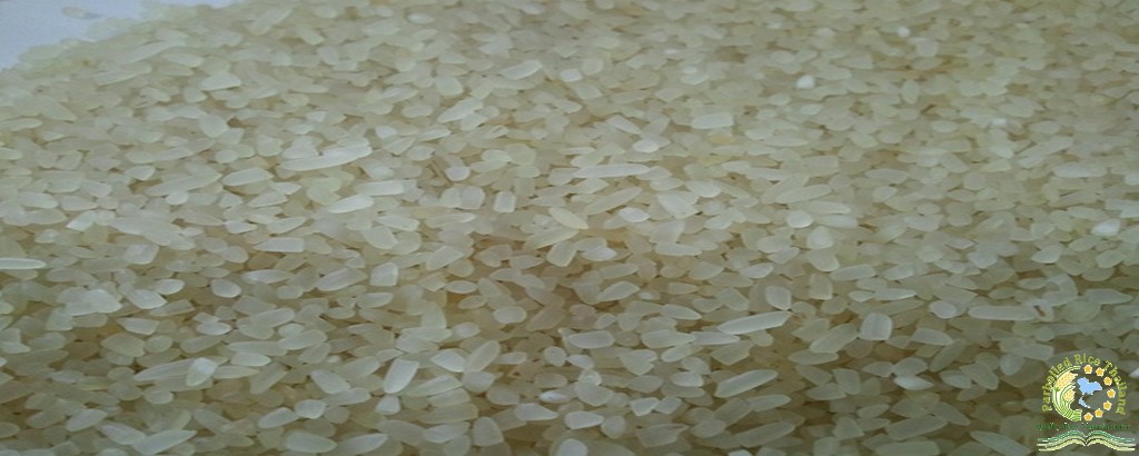 Parboiled Rice Broke A1 1